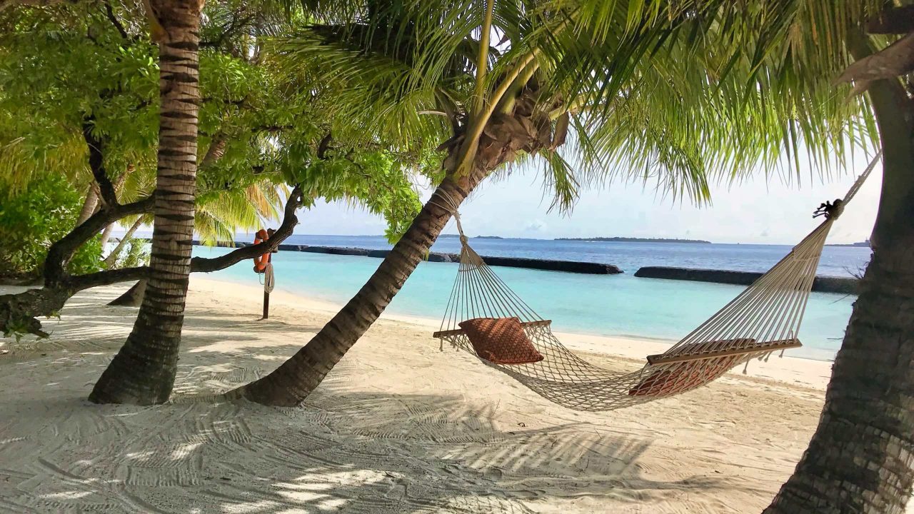 hängematte indoor mit gestell SWANEW Sonnendach Gestell,Hängemattengestell aus Holz Lärche + Dach bis 200kg Wetterfest Stabhängematte für Outdoor und Indoor,Hammock aus Wetterfestem Lärchenholz Garten Cleveland Gear drops in 2001 Chevrolet 6.6L Duramax LB7 Color:Silver Tan