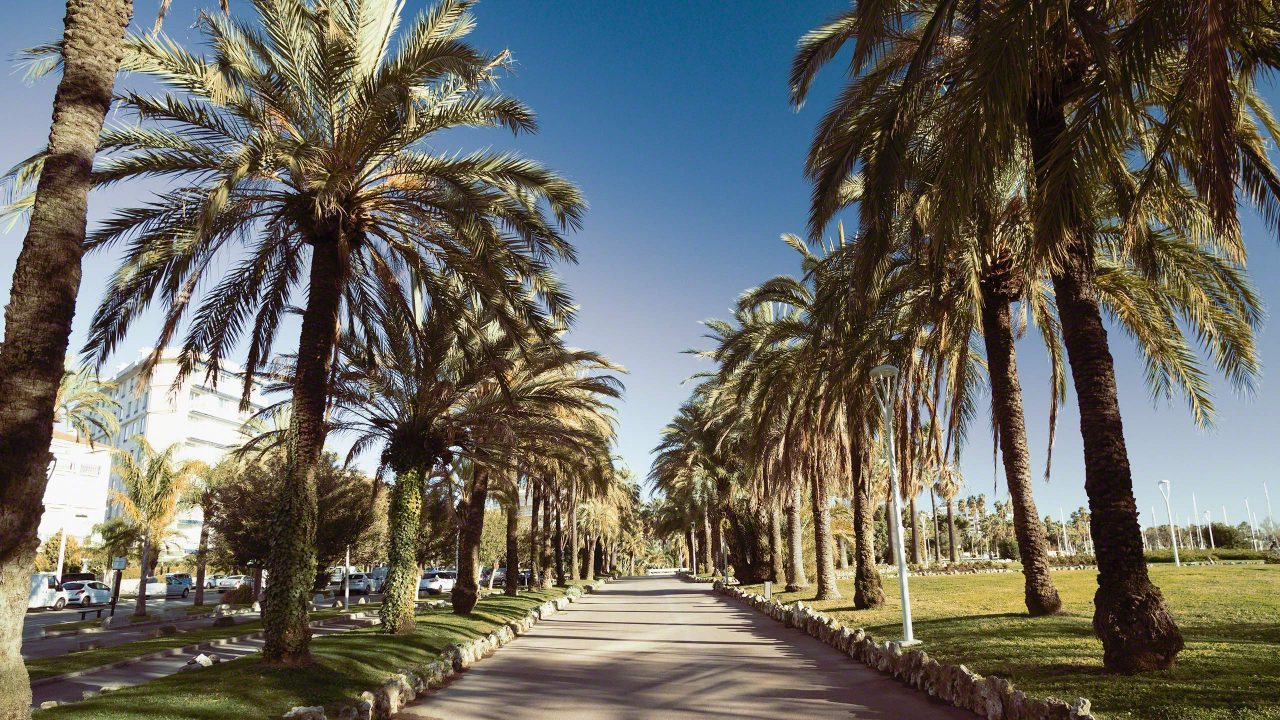 Côte d’Azur: Der drei Kilometer lange, palmenumsäumte Urlaubstraum an der Croisette in Cannes. ©Mirco Seyfert