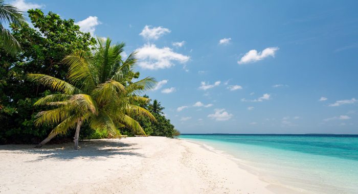 Malediven - cover