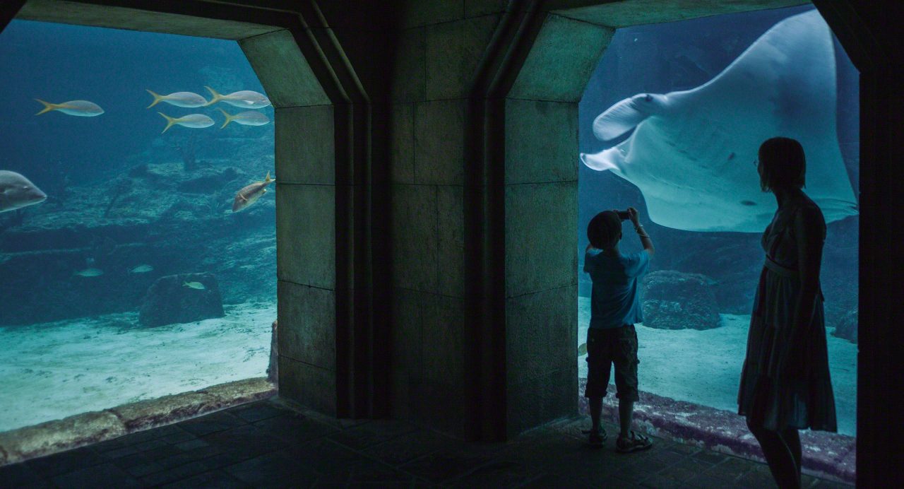 Bahamas: Atlantis Resort Aquarium © Mirco Seyfert