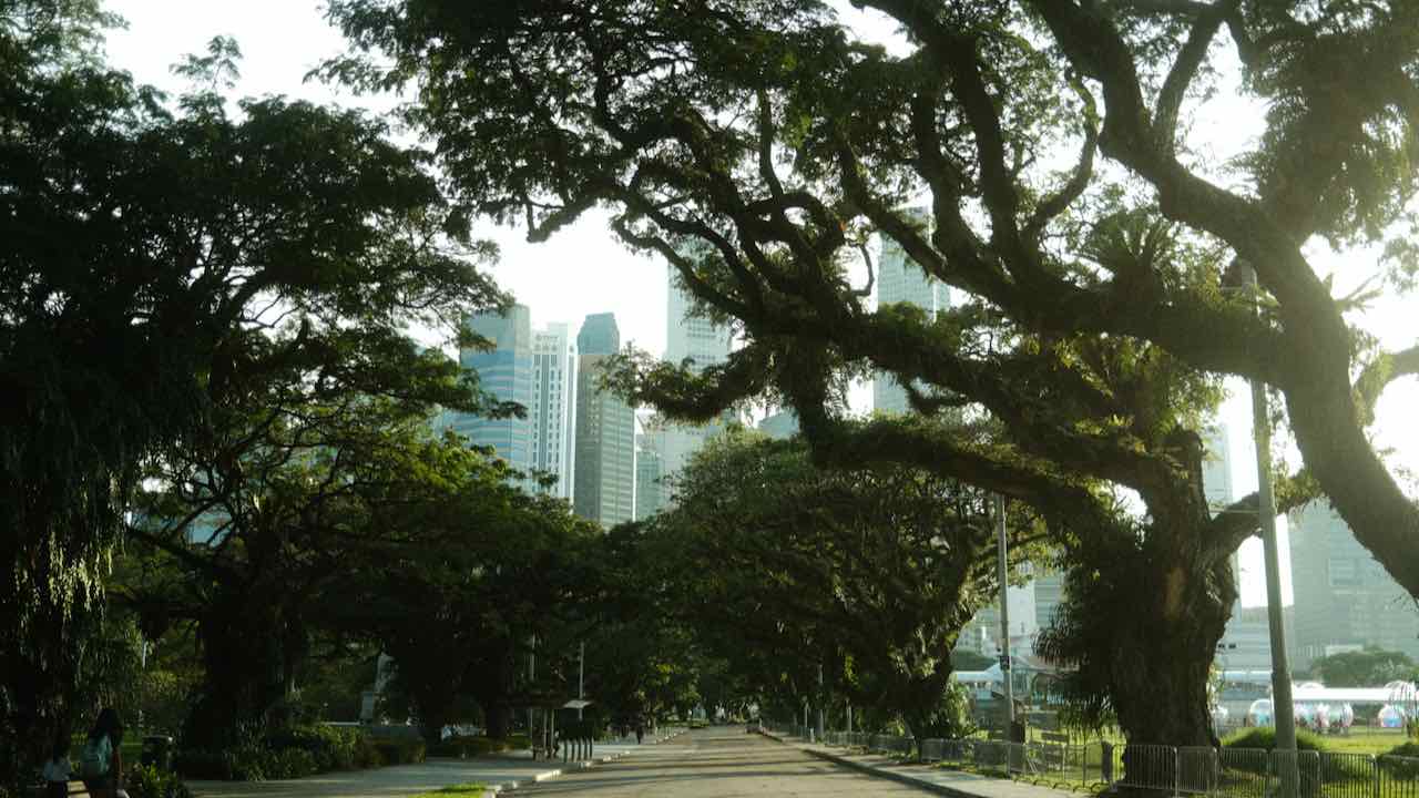 Singapur Reisetipps The Capitol Kempinski Hotel_grüne Stadt