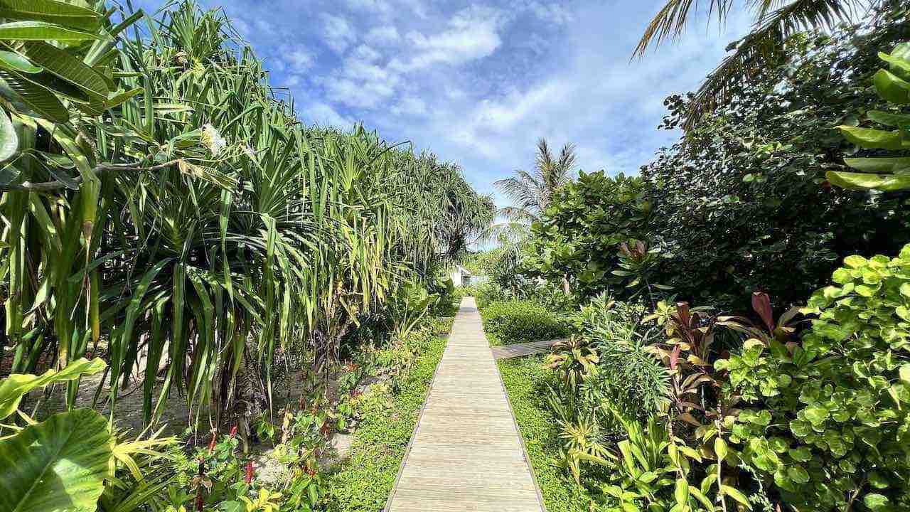 Amari Raaya Maldives Malediven Spa Garten