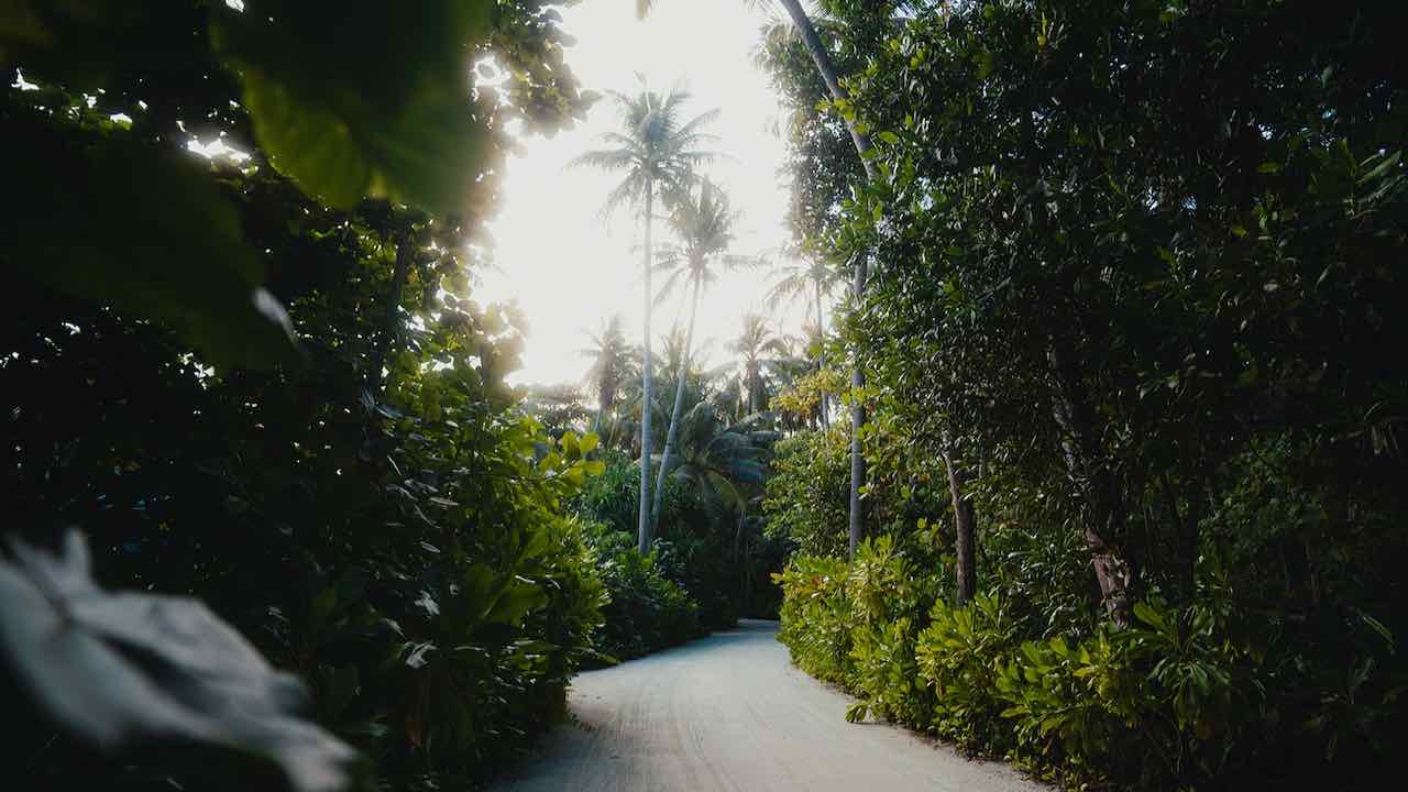 Alila Kothaifaru Maldives. Malediven Reisetipps: Tropischer Urlaubstraum mit gepflegten Urwald in der Inselmitte.