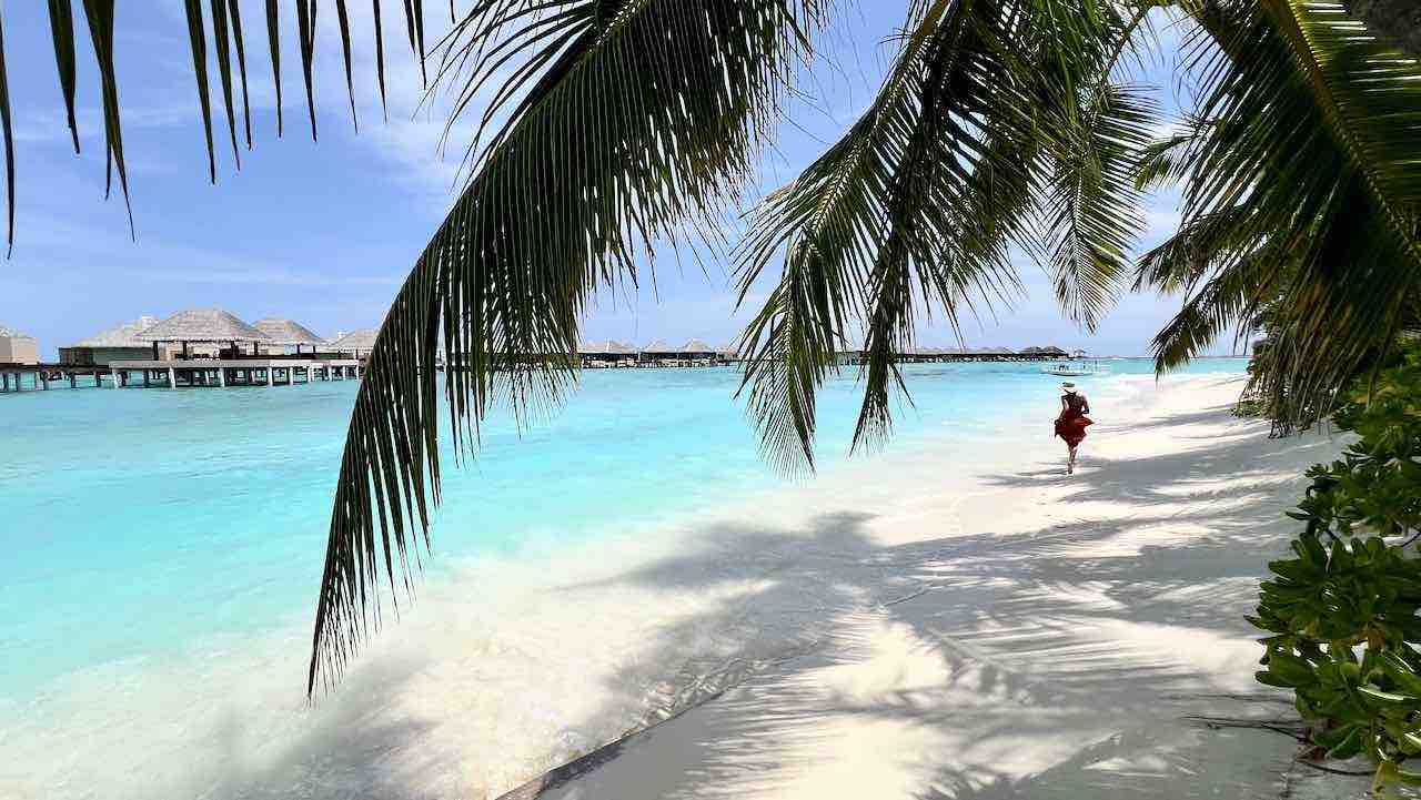 Adaaran Prestige Vadoo Maldives Malediven Reisetipps Beach, Meer und Palmen