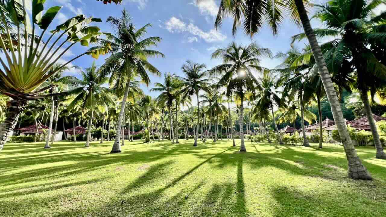 Seychellen Club Med Seychelles Reisetipps Bloggerin tropischer Garten