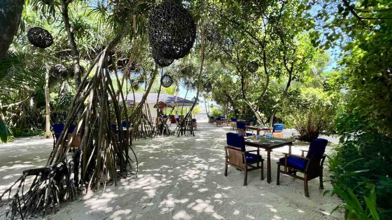 Milaidhoo Maldives Malediven Reisetipps Restaurant unter den Palmen