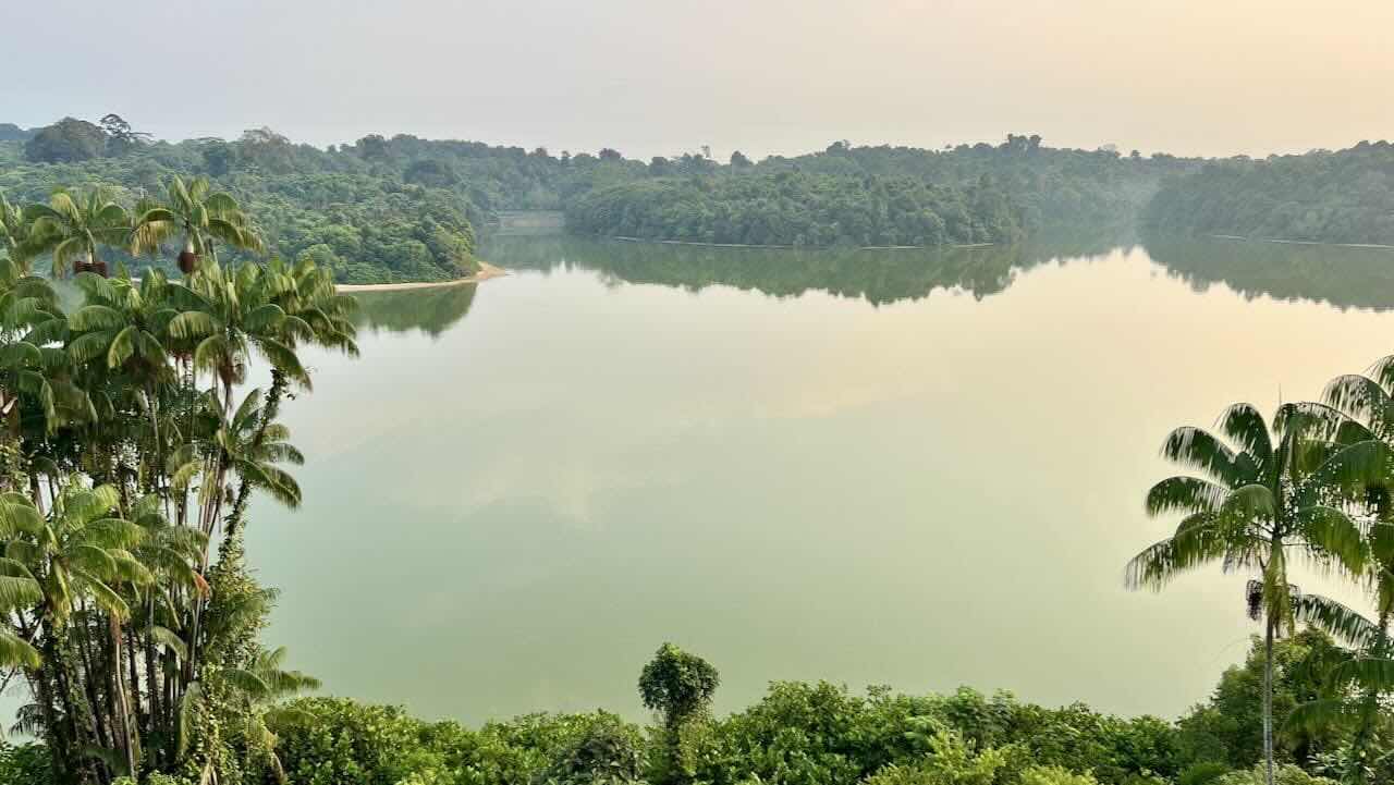 Singapur Reisetipps Mandai Rainforest Resort by Banyan Tree Seeblick