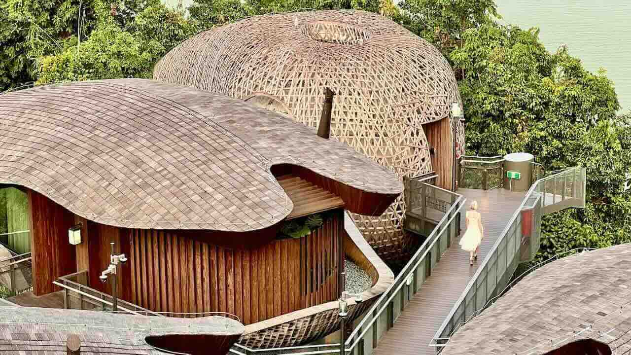 Singapur Reisetipps Mandai Rainforest Resort by Banyan Tree Baumhaus am See